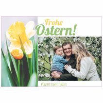 Tortenbilder Produktbild Ostern 02 rechteckig