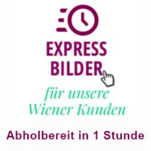Abholung_Wien_klein Tortenbilder Abholung in Wien